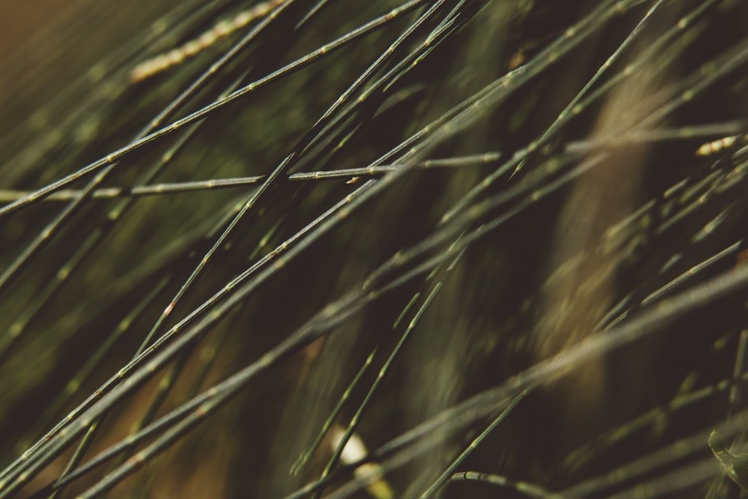 These top 5 software tools can help you boost your productivity.